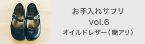 お手入れサプリvol.6オイルドレザー（艶アリ）